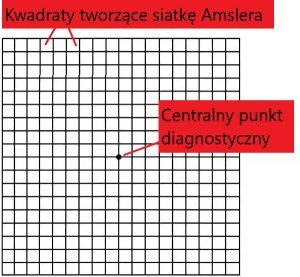 Struktura siatki Amslera składa się z kilkuset połączonych ze sobą kwadratów, które tworzą charakterystyczną siatkę oraz centralnego punktu diagnostycznego w formie okrągłego punktu na samym jej środku.